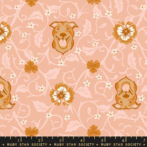 Pitbull Novelty Floral in Dahlia--- Dog Park by Sarah Watts -- Ruby Star Society -- Moda Fabric