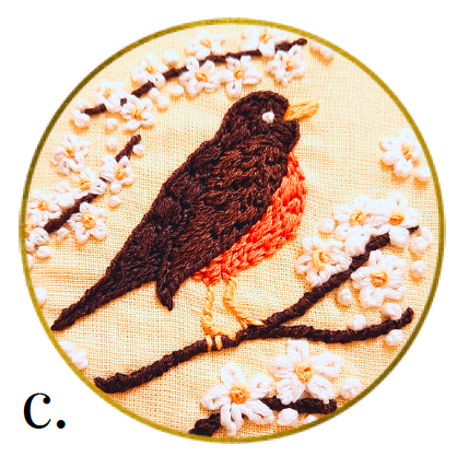 American Robin Mini Embroidery Kit -- Capital Stitch Co.