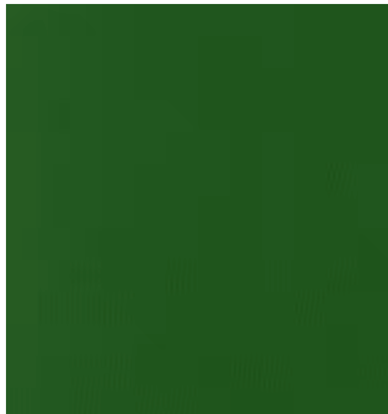 Evergreen from Laguna Cotton Jersey -- Robert Kaufman