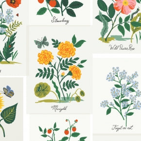 Botanical Prints - Pink Multi Canvas -- Curio by Rifle Paper Co. for Cotton + Steel Fabrics