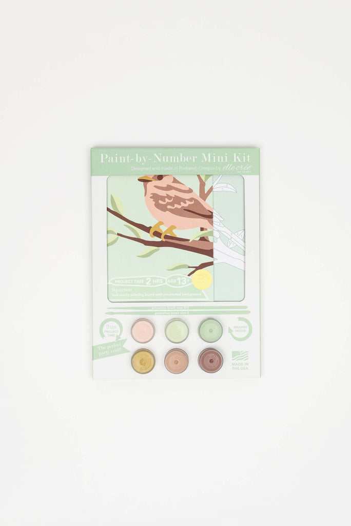 Sparrow MINI Paint-by-Number Kit
