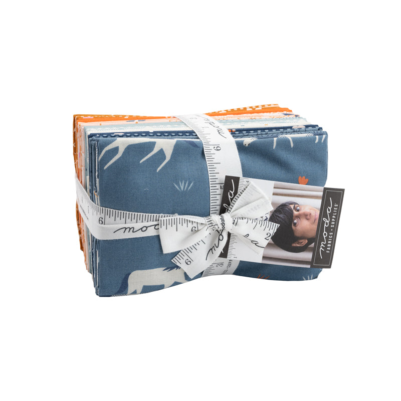 9 x 22 Cut Fat Eighth Bundle -- Meander by Aneela Hoey --- Moda Fabric