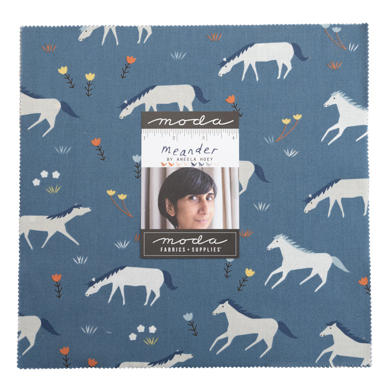 Layer Cake -- Meander by Aneela Hoey --- Moda Fabric