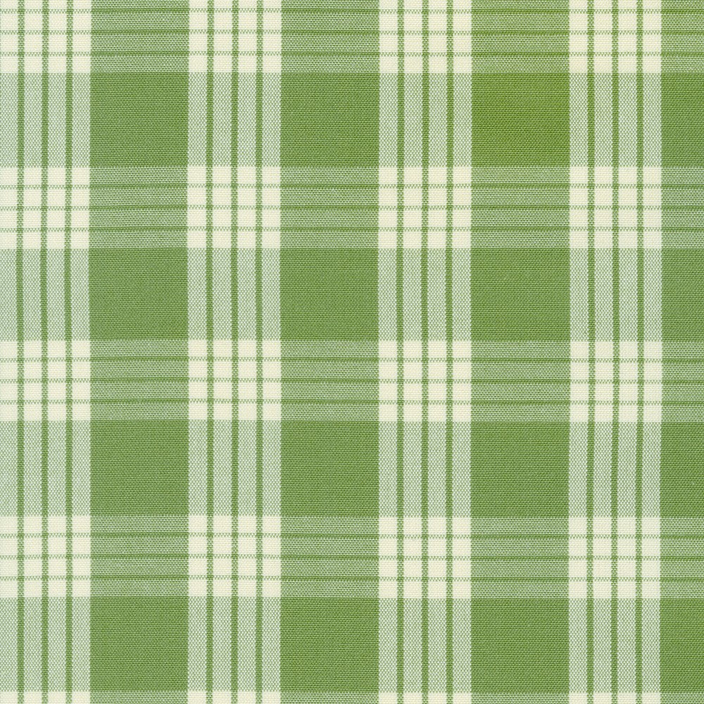 PALM from Palaka Plaid --- Robert Kaufman Fabrics
