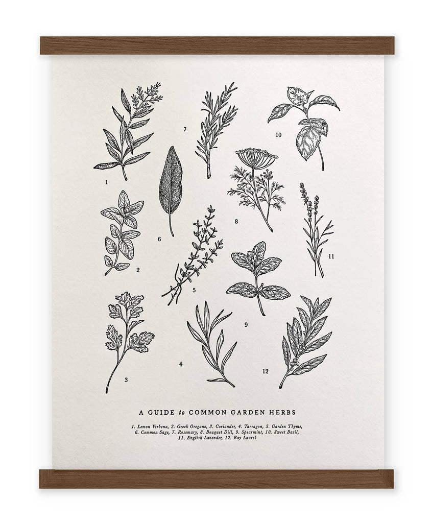 Guide to Garden Herbs Chart