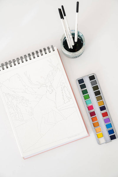 National Parks Watercoloring Book