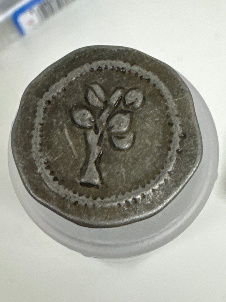 Dill Buttons 25mm Antique Tin