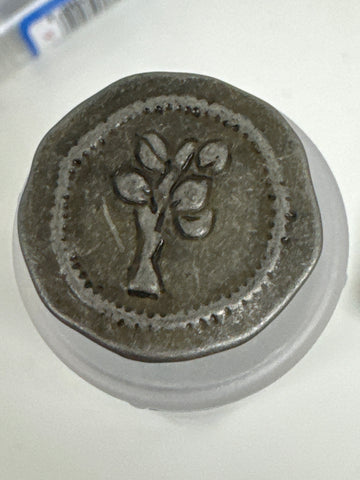 Dill Buttons 25mm Antique Tin
