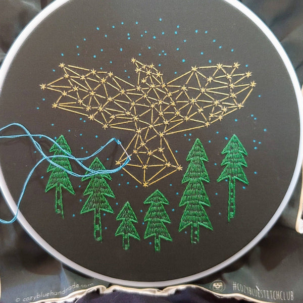 The crow embroidery kit
