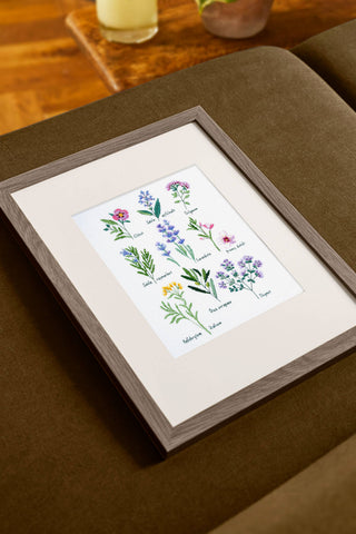 DMC Designer Cross Stitch Kit - Herbs, BK1978S