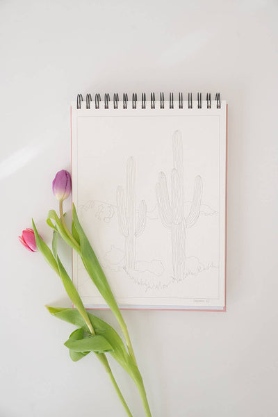 National Parks Watercoloring Book