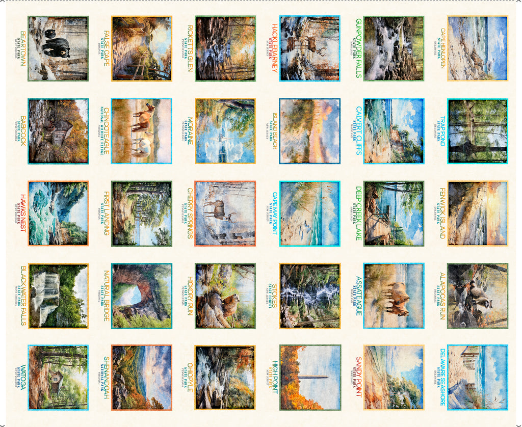 Tile Panel MID ATLANTIC SHOP HOP 2026 -- All Mid-Atlantic Shop Hop Exclusive Fabric -- QT Fabrics (PREORDER)