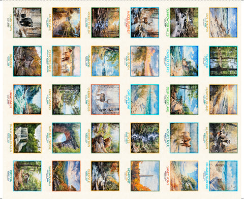 Tile Panel MID ATLANTIC SHOP HOP 2026 -- All Mid-Atlantic Shop Hop Exclusive Fabric -- QT Fabrics (PREORDER)