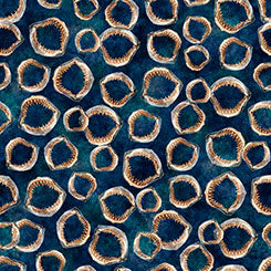 Shark Jaws in Mediterranean  -- INTO THE DEEP -- QT Fabrics