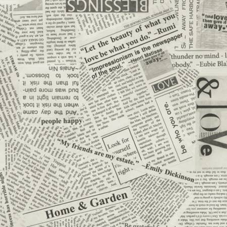 Spackle Newsprint Canvas -- Carrie Bloomston --- Windham Fabrics