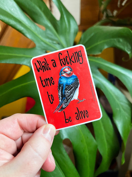 What a f*cking time to be alive: Feminist Sticker