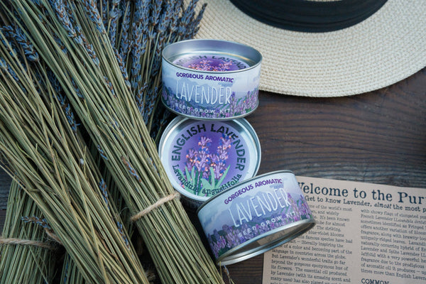 lavender planting kit The Jonsteen Company - Lavender