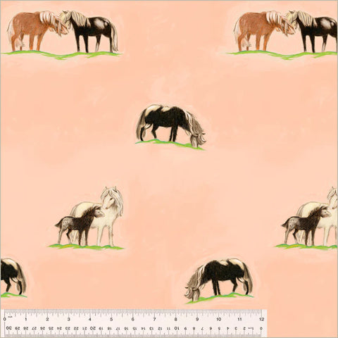 Peach Ponies Canvas -- Heather Ross by Hand Heather Ross  -- Windham Fabrics