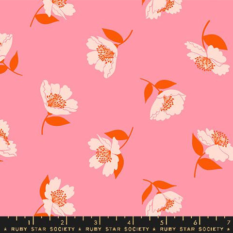 Fluttering Florals in Sorbet -- Juicy by Melody Miller -- Ruby Star Society -- Moda Fabrics