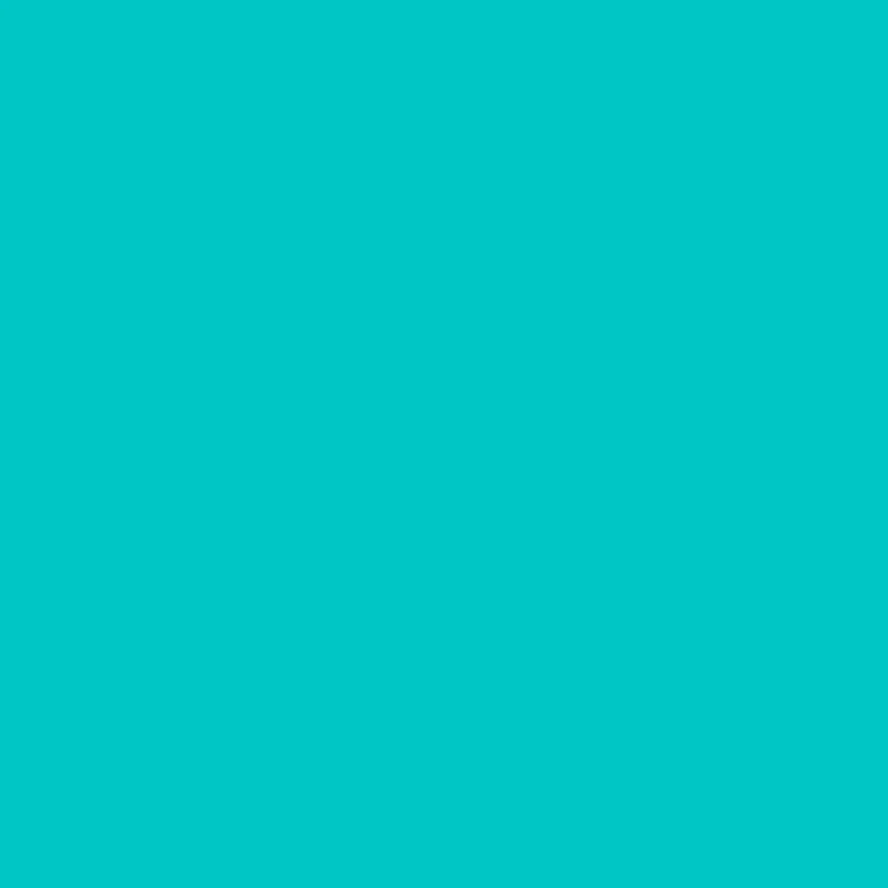 Turquoise Solid Winter Fleece