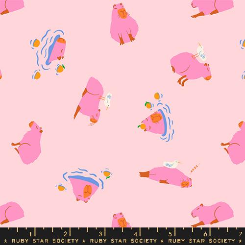 Capybara in Cotton Candy --- Animal Animal by Ruby Star Society -- Moda Fabric