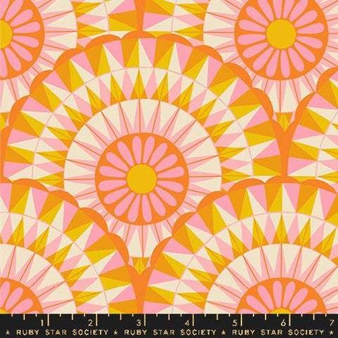 Carousels Geometrics in Zinnia --- Carousel by Melody Miller--  Ruby Star Society -- Moda Fabrics