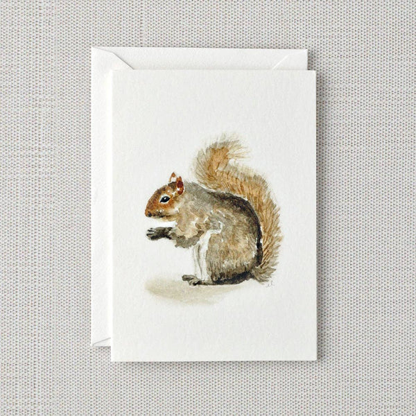 Squirrel mini notecard