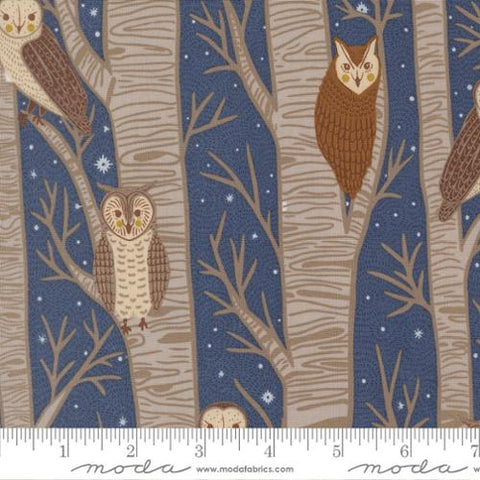 Night Owl in Dusk -- Night Owl by Gingiber for Moda Fabrics