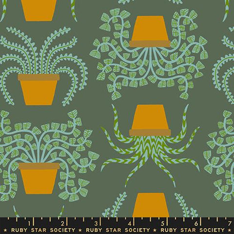 Planties in Seaweed -- Calathea -- Ruby Star Society Moda Fabrics