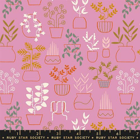 Plant Life in Kiss -- Calathea -- Ruby Star Society Moda Fabrics