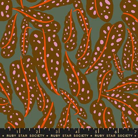 Overlapping Leaves in  Cocoa  -- Calathea -- Ruby Star Society Moda Fabrics