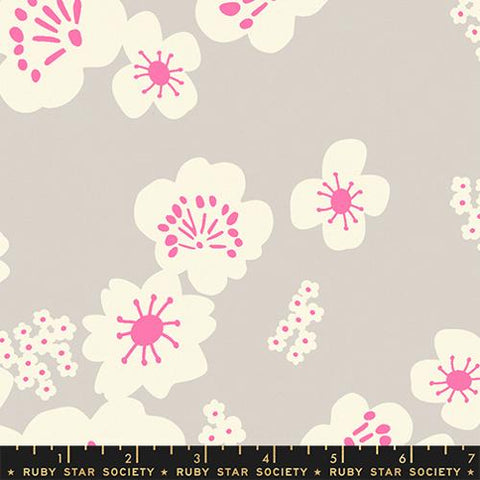 Hana Canvas in Sandbox -- Paper Cuts 2 by Rashida Coleman-Hale -- Ruby Star Society