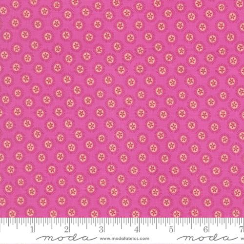 Sand Dollar in Seahorse -- Reef by Kate Spain -- Moda Fabrics