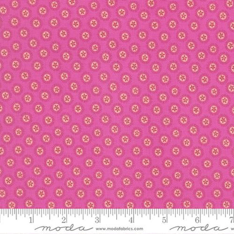 Sand Dollar in Seahorse -- Reef by Kate Spain -- Moda Fabrics