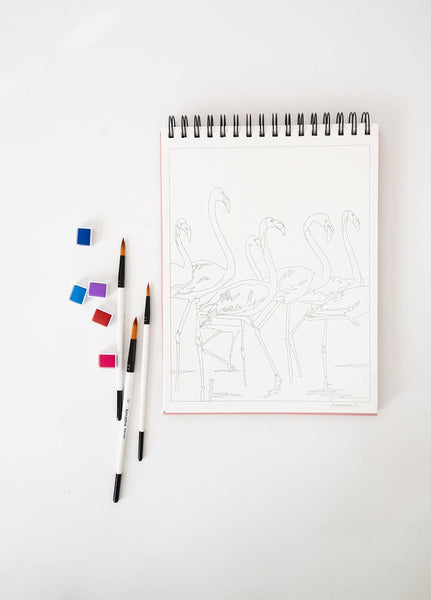 National Parks Watercoloring Book