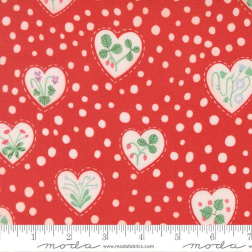 Flower Hearts in Love -- Funny Valentine  by Lizzy House -- Moda Fabrics