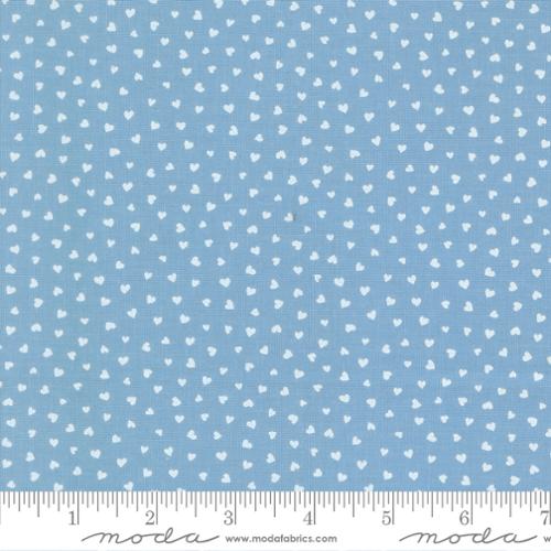 Tiny Hearts in Sky -- Funny Valentine  by Lizzy House -- Moda Fabrics