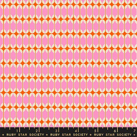 Matchbook Blender in Flamingo -- Trinketry by Melody Miller -- Ruby Star Society -- Moda Fabrics