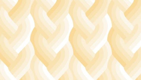 Echo Braid Ivory -- Emily Van Hoff for Moda Fabrics