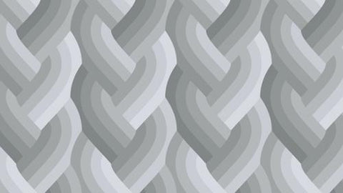 Echo Braid Grey  -- Emily Van Hoff for Moda Fabrics