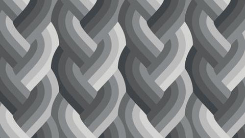 Echo Braid Black -- Emily Van Hoff for Moda Fabrics