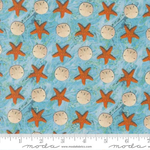 Sandy Beach Novelty Sand Dollar Starfish in Surf -- Saltwater by Cathe Holden for Moda Fabrics