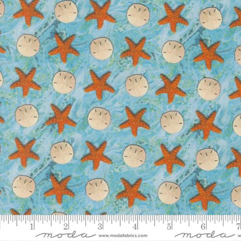 Sandy Beach Novelty Sand Dollar Starfish in Surf -- Saltwater by Cathe Holden for Moda Fabrics