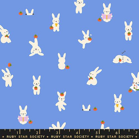 Bun E and Sammy in Lindley Blue --  Persimmon -- Rashida Coleman Hale for Ruby Star Society -- Moda Fabrics (Copy)