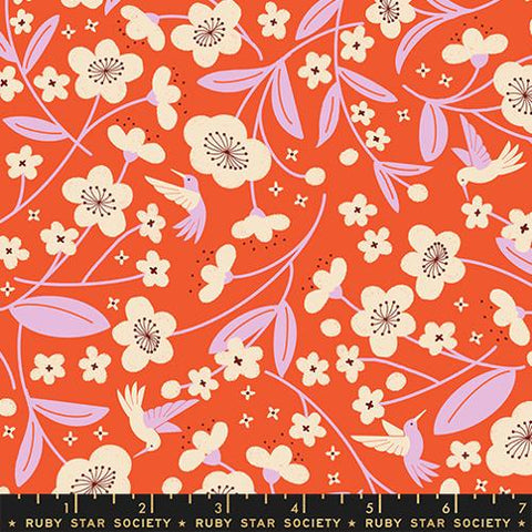 Persimmon Blossoms in Warm Red --  Persimmon -- Rashida Coleman Hale for Ruby Star Society -- Moda Fabrics