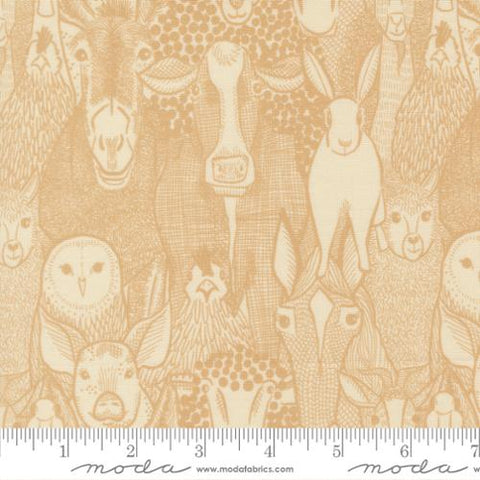 Barnyard Faces in Hay -- The Henhouse by Gingiber for Moda Fabrics