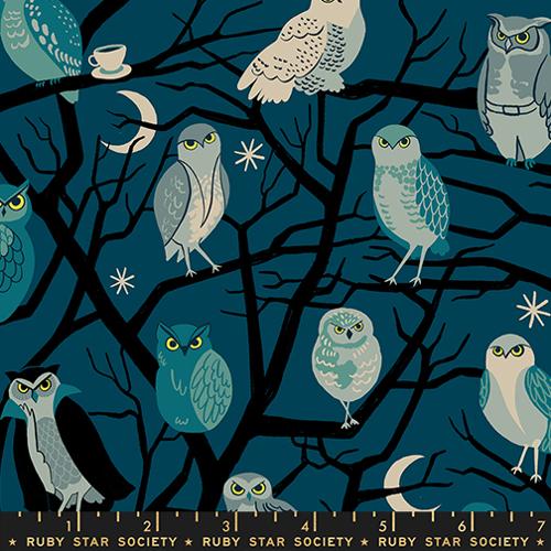 Who Cooks For You Owls in Galaxy -- Freaky Familiars -- Ruby Star Society