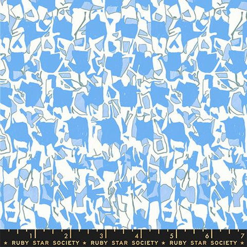 Explore in Altitude -- Momento by Carolyn Friedlander -- Ruby Star Society -- Moda Fabrics
