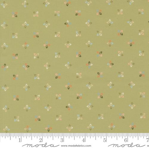 Petite Petalush Blenders in Meadow -- Petalush by Kiley's Quilt Room -- Moda Fabrics