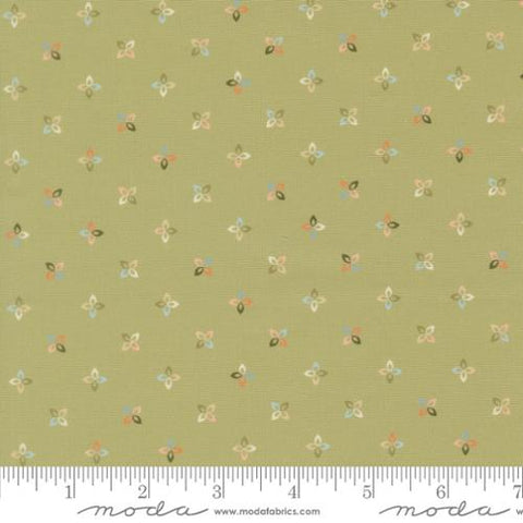 Petite Petalush Blenders in Meadow -- Petalush by Kiley's Quilt Room -- Moda Fabrics